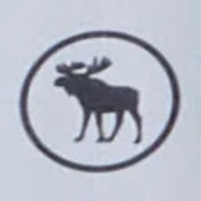 Abercrombie & Fitch Ypb Icon Popover Hoodie In Gray