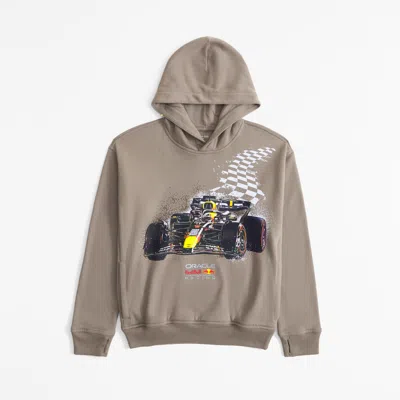 Abercrombie & Fitch Oracle Red Bull Racing Graphic Popover Hoodie In Brown