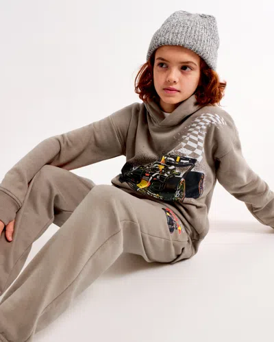 Abercrombie & Fitch Oracle Red Bull Racing Graphic Popover Hoodie In Brown