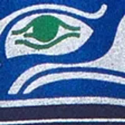 Abercrombie & Fitch Seattle Seahawks Graphic Popover Hoodie