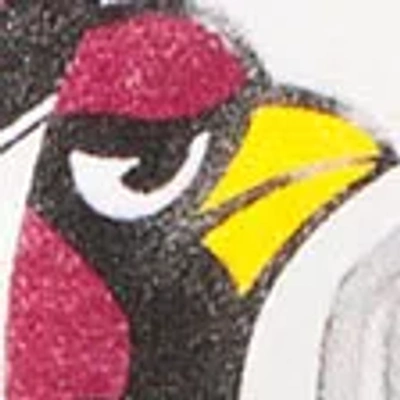 Abercrombie & Fitch Arizona Cardinals Graphic Popover Hoodie