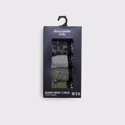 Abercrombie & Fitch 5-pack Boxer Briefs In Multi