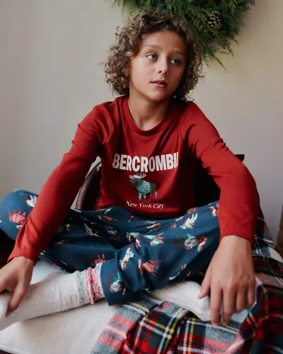 Abercrombie & Fitch Flannel Pajama Set In Multi