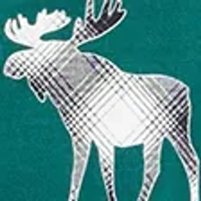 Abercrombie & Fitch Flannel Pajama Set In Multi