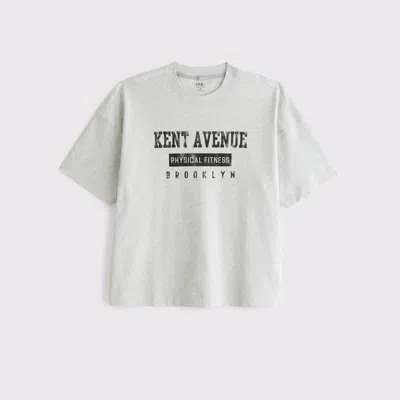 Abercrombie & Fitch Ypb Heavyweight Cotton Pump Cover Tee In Silver