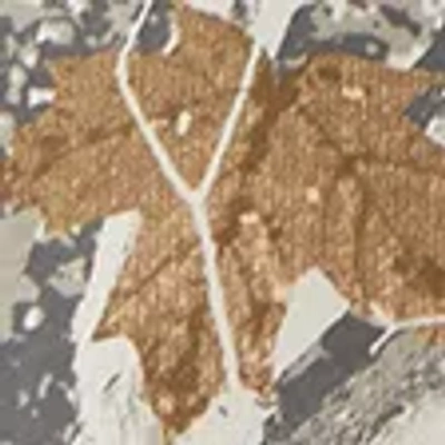 Abercrombie & Fitch Ypb Heavyweight Cotton Extended Shoulder Tank In Multi