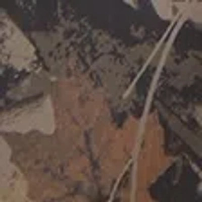 Abercrombie & Fitch Ypb Motiontek Retro Short In Black