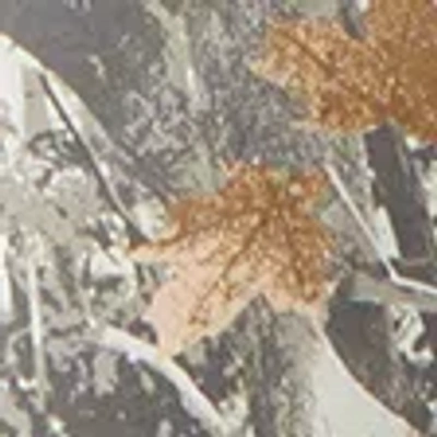 Abercrombie & Fitch Ypb Neoknit Max Track Pant In Gray