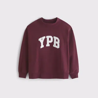 Abercrombie & Fitch Ypb On The Go Mockneck In Burgundy