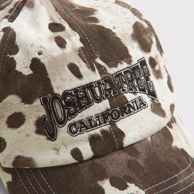 Abercrombie & Fitch Joshua Tree Baseball Hat In Animal Print