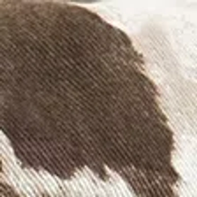 Abercrombie & Fitch Joshua Tree Baseball Hat In Animal Print