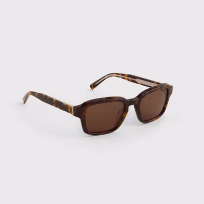 Abercrombie & Fitch Square Sunglasses In Brown