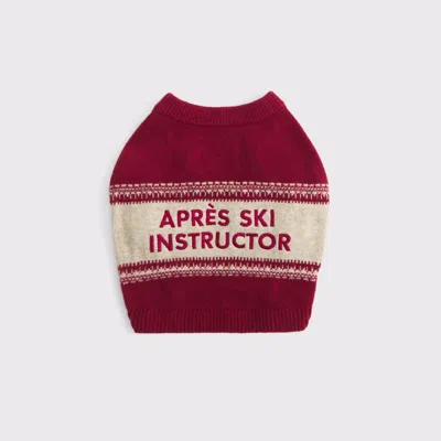 Abercrombie & Fitch Graphic Pet Sweater In Red