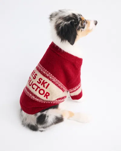 Abercrombie & Fitch Graphic Pet Sweater In Red