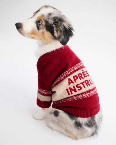 Abercrombie & Fitch Graphic Pet Sweater In Red