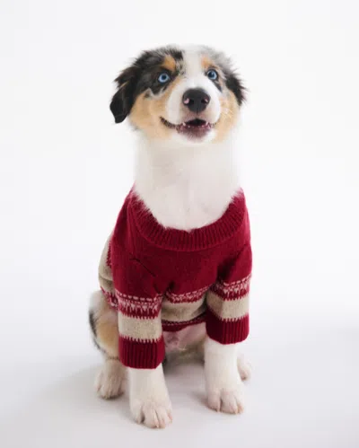 Abercrombie & Fitch Graphic Pet Sweater In Red