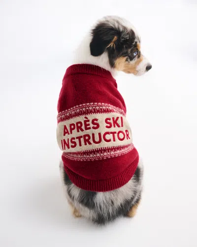 Abercrombie & Fitch Graphic Pet Sweater In Red
