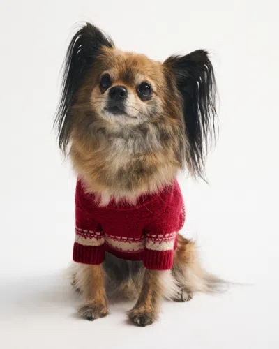 Abercrombie & Fitch Graphic Pet Sweater In Red