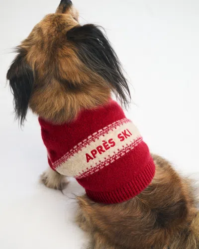 Abercrombie & Fitch Graphic Pet Sweater In Red