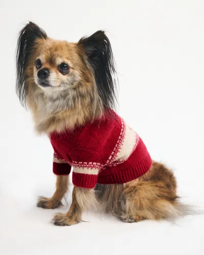 Abercrombie & Fitch Graphic Pet Sweater In Red