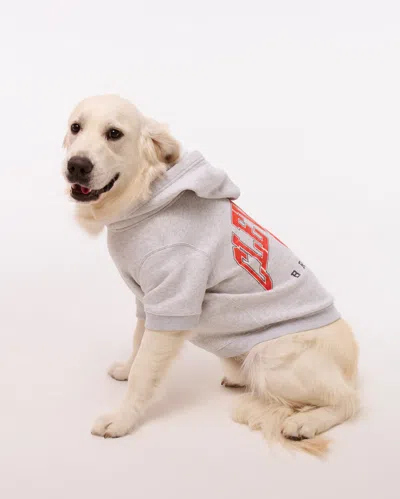 Abercrombie & Fitch Cleveland Browns Pet Pupover In White