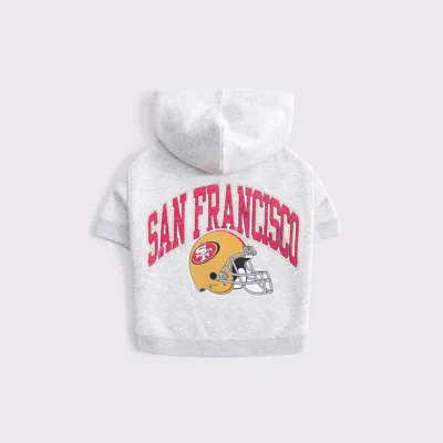 Abercrombie & Fitch San Francisco 49ers Pet Pupover In Gray