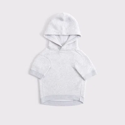 Abercrombie & Fitch San Francisco 49ers Pet Pupover In Gray