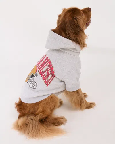 Abercrombie & Fitch San Francisco 49ers Pet Pupover In Gray