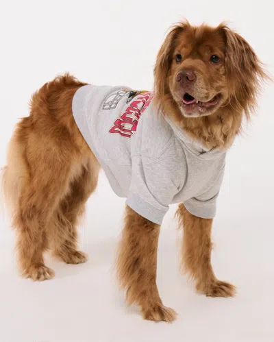 Abercrombie & Fitch San Francisco 49ers Pet Pupover In Gray