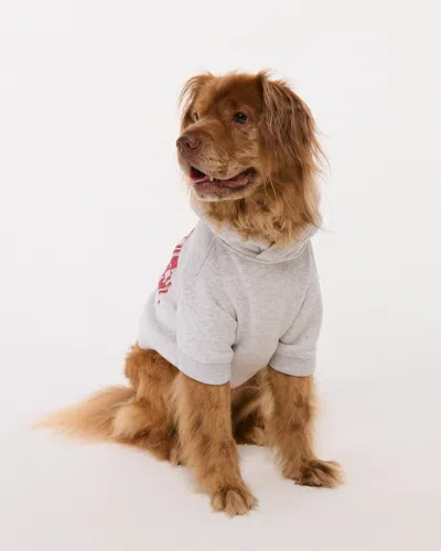 Abercrombie & Fitch San Francisco 49ers Pet Pupover In Gray