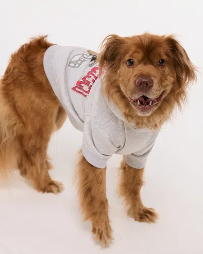 Abercrombie & Fitch San Francisco 49ers Pet Pupover In Gray