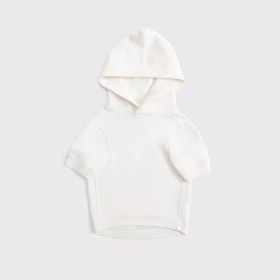 Abercrombie & Fitch Detroit Lions Pet Pupover In Neutral