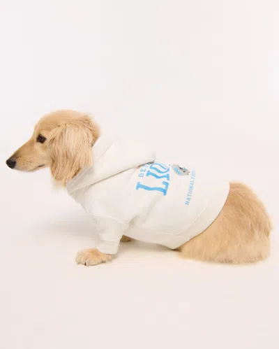 Abercrombie & Fitch Detroit Lions Pet Pupover In Neutral