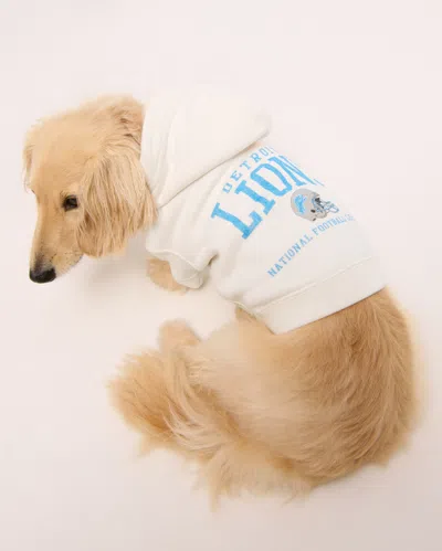 Abercrombie & Fitch Detroit Lions Pet Pupover In Neutral