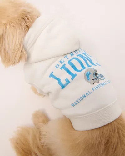 Abercrombie & Fitch Detroit Lions Pet Pupover In Neutral