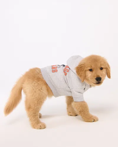 Abercrombie & Fitch Chicago Bears Pet Pupover In Brown