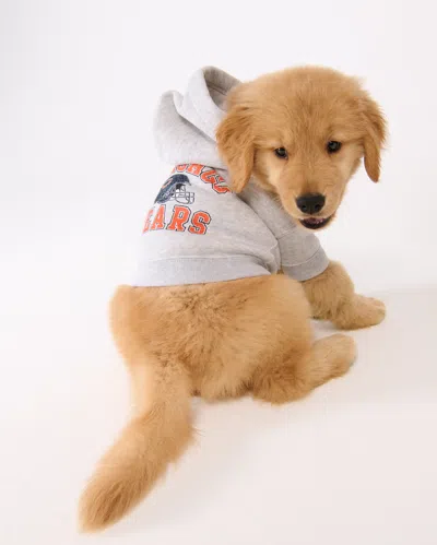 Abercrombie & Fitch Chicago Bears Pet Pupover In Brown