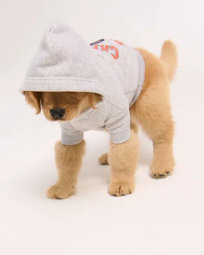 Abercrombie & Fitch Chicago Bears Pet Pupover In Brown