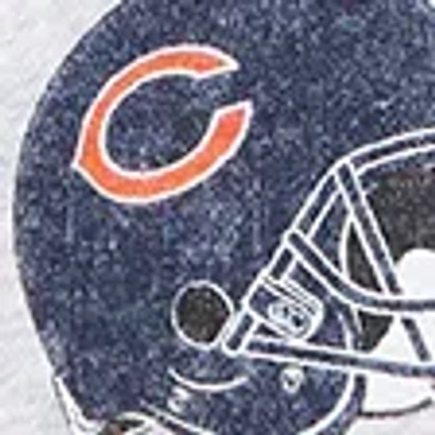 Abercrombie & Fitch Chicago Bears Pet Pupover In Brown