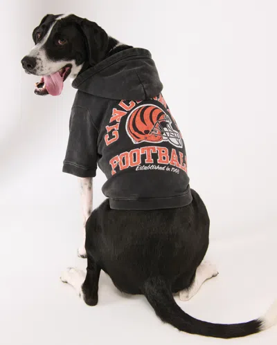 Abercrombie & Fitch Cincinnati Bengals Pet Pupover In Black