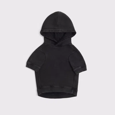 Abercrombie & Fitch Cincinnati Bengals Pet Pupover In Black