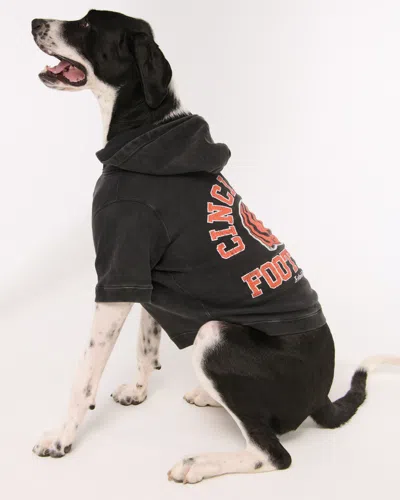 Abercrombie & Fitch Cincinnati Bengals Pet Pupover In Black