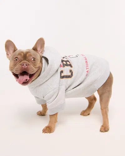 Abercrombie & Fitch Kansas City Chiefs Pet Pupover In Gray