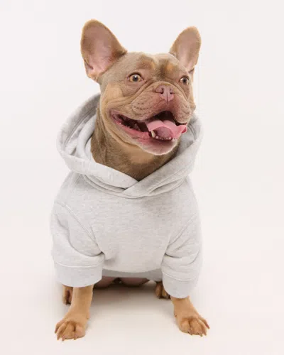 Abercrombie & Fitch Kansas City Chiefs Pet Pupover In Gray