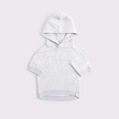 Abercrombie & Fitch Philadelphia Eagles Pet Pupover In Gray