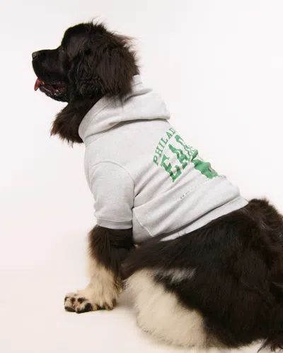 Abercrombie & Fitch Philadelphia Eagles Pet Pupover In Gray