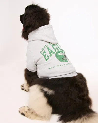 Abercrombie & Fitch Philadelphia Eagles Pet Pupover In Gray