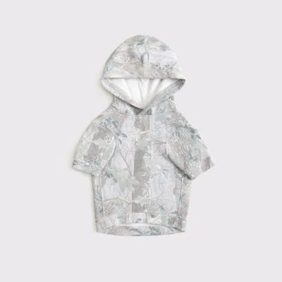 Abercrombie & Fitch The A&f Essential Pet Pupover In Gray