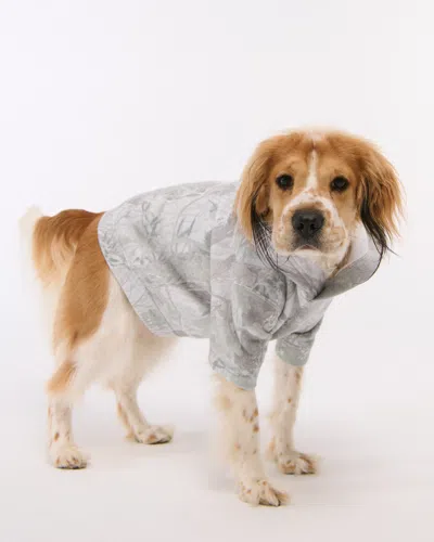 Abercrombie & Fitch The A&f Essential Pet Pupover In Gray