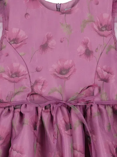 Mama Luma Floral Dress In Pink